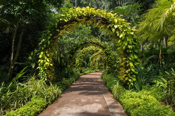 The National Orchid Garden