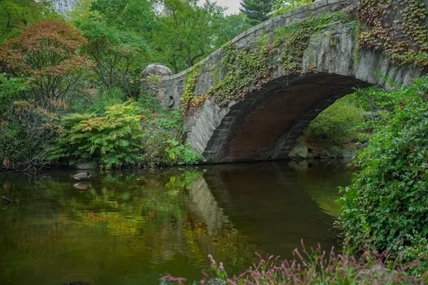 Central Park in autumn
