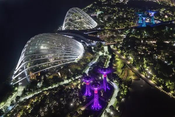Cloud Forest in the evening