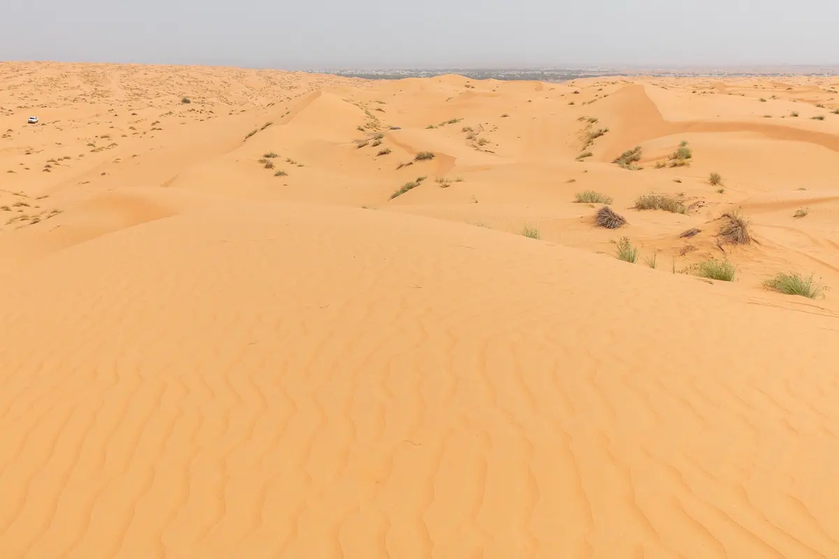 Dunes of the Wahiba Sands in Oman