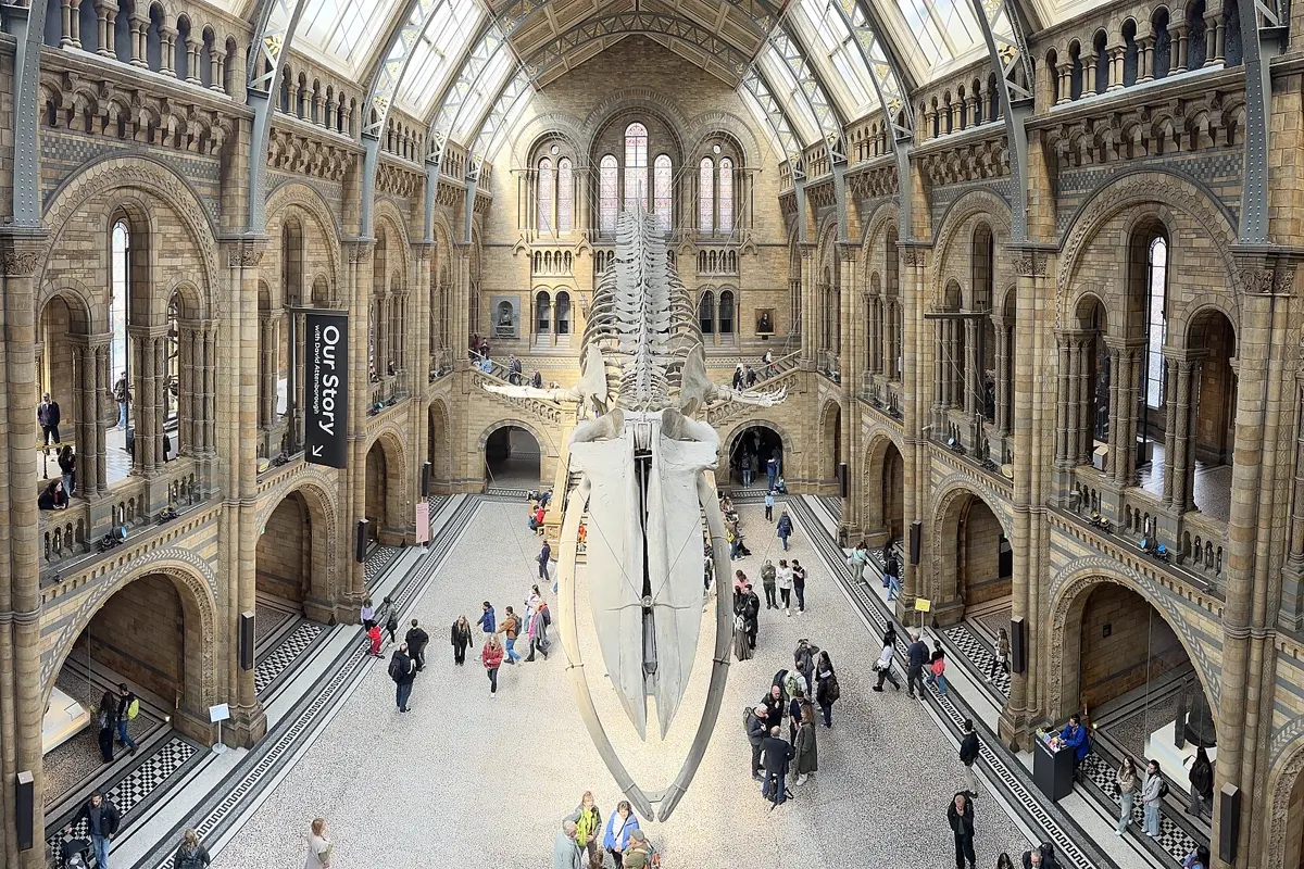 Hintze Hall in the Natural History Museum, London