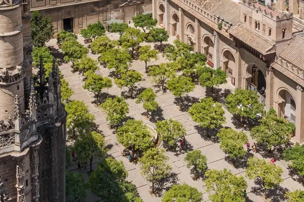 The orange tree courtyard of Seville Cathedral, seen from the Giralda