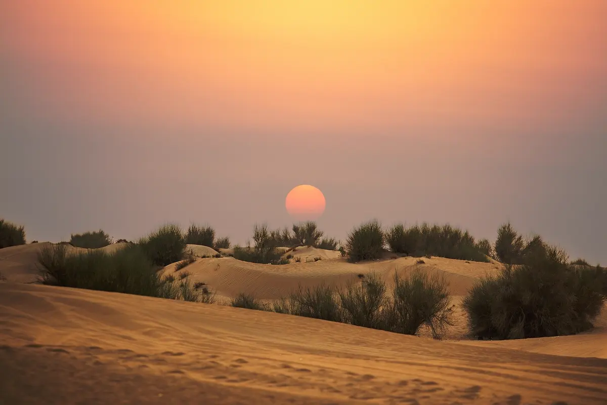 Sonnenuntergang in den Dünen bei Dubai