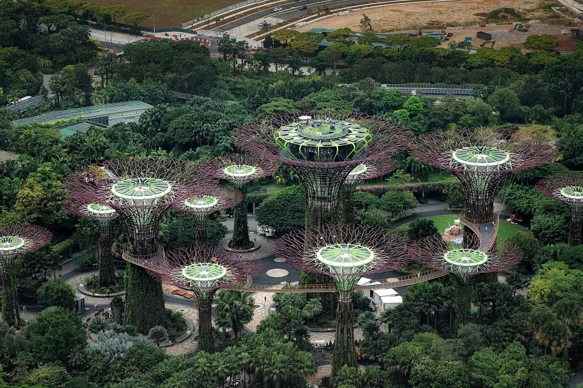 The Supertrees at Gardens by the Bay