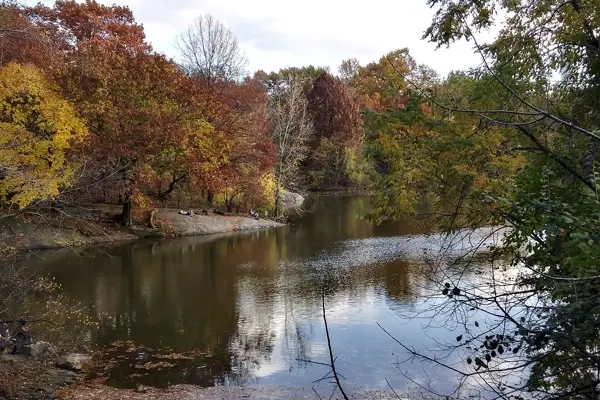 The Lake in Central Park