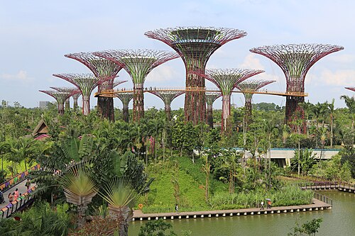 Supertrees at Gardens by the Bay