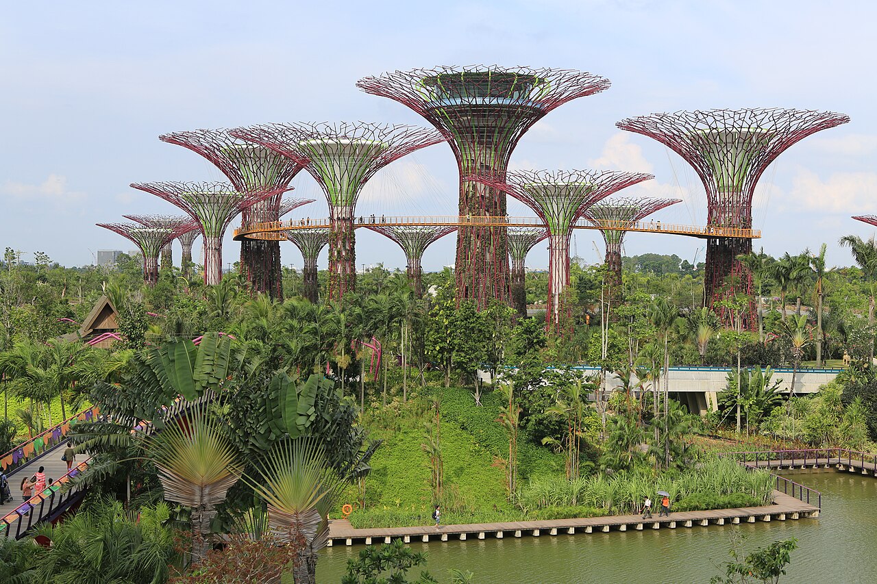 Supertrees in den Gardens by the Bay