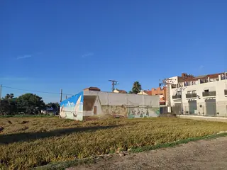 El Palmar, Valencia