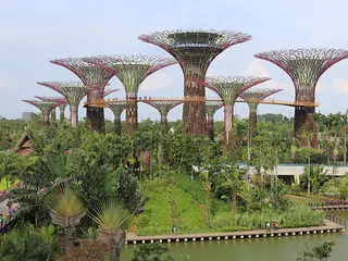 Gardens by the Bay, Singapur