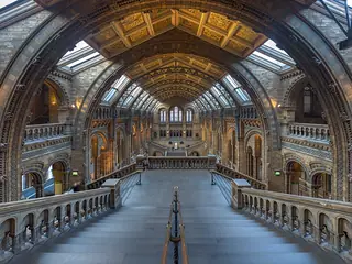 Natural History Museum, London