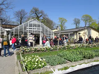 Rosendals Trädgård, Stockholm